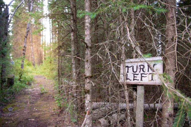 A wooden sign in a dense boreal forest reads "Turn Left," with a path heading off into the distance.