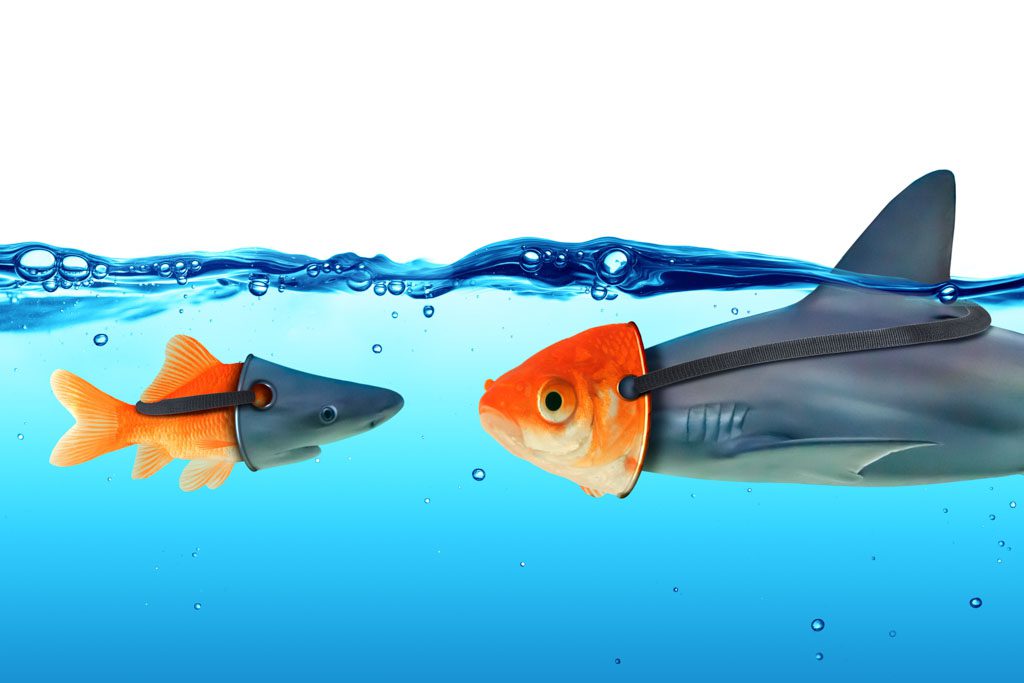 In blue water, a goldfish wearing a shark mask comes face to face with a gray shark wearing a goldfish mask.