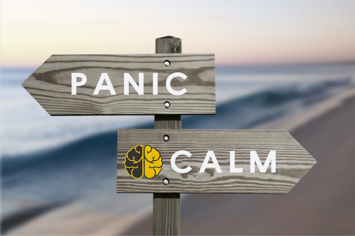 Two wooden signs pointing opposite ways on a beach, one labeled "panic" and one labeled "calm."
