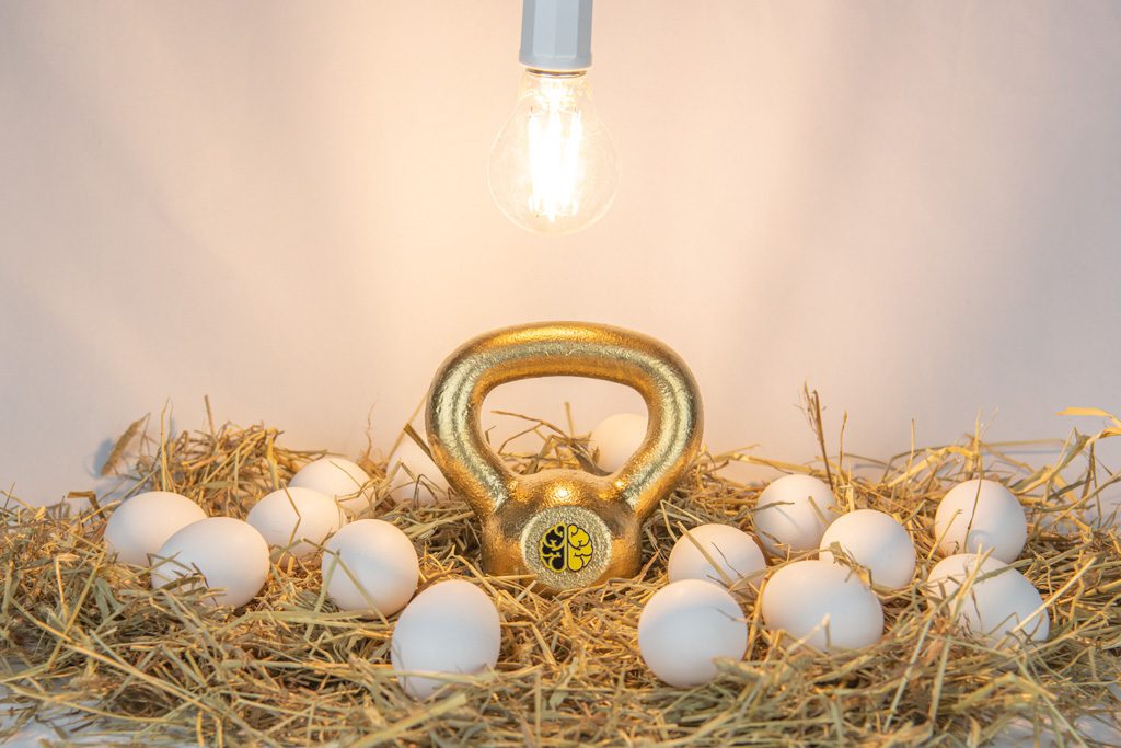 A gold kettlebell with the Two-Brain Business logo sits under a lightbulb and among a dozen incubating eggs.