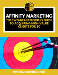 Three arrows in the bulls-eye of an archery target on the cover of the Two-Brain ebook Affinity Marketing.