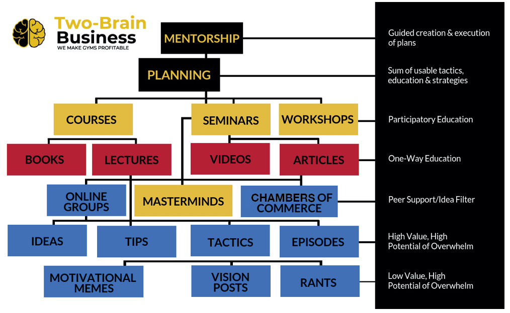 A colourful diagram showing how a mentor filters ideas from a number of source.