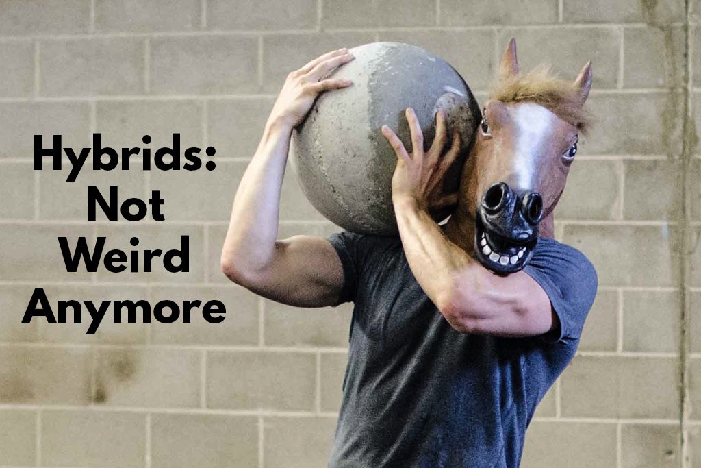A man wearing a horse mask lifts an atlas stone in a gym with cinder block walls.