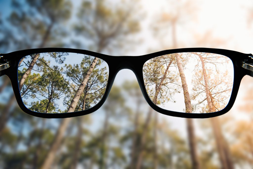 A look through a pair of black-framed glasses as they focus on a forest.