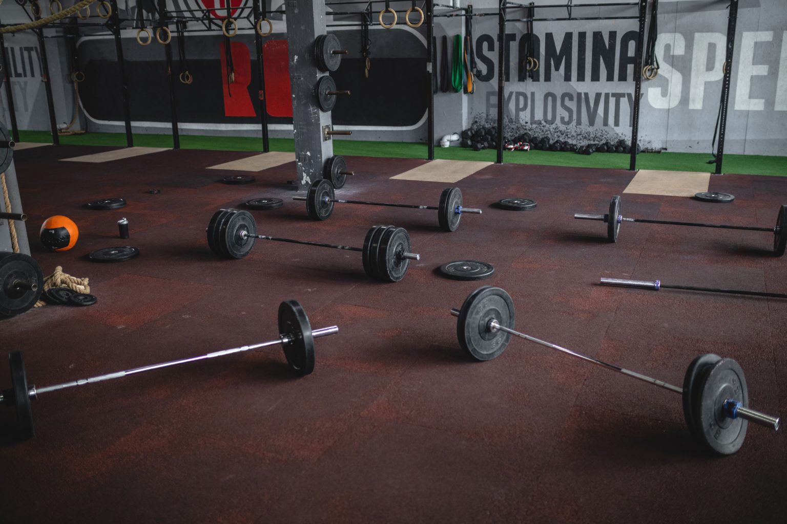 What Do Gyms Really Need? Space and Equipment TwoBrain Business