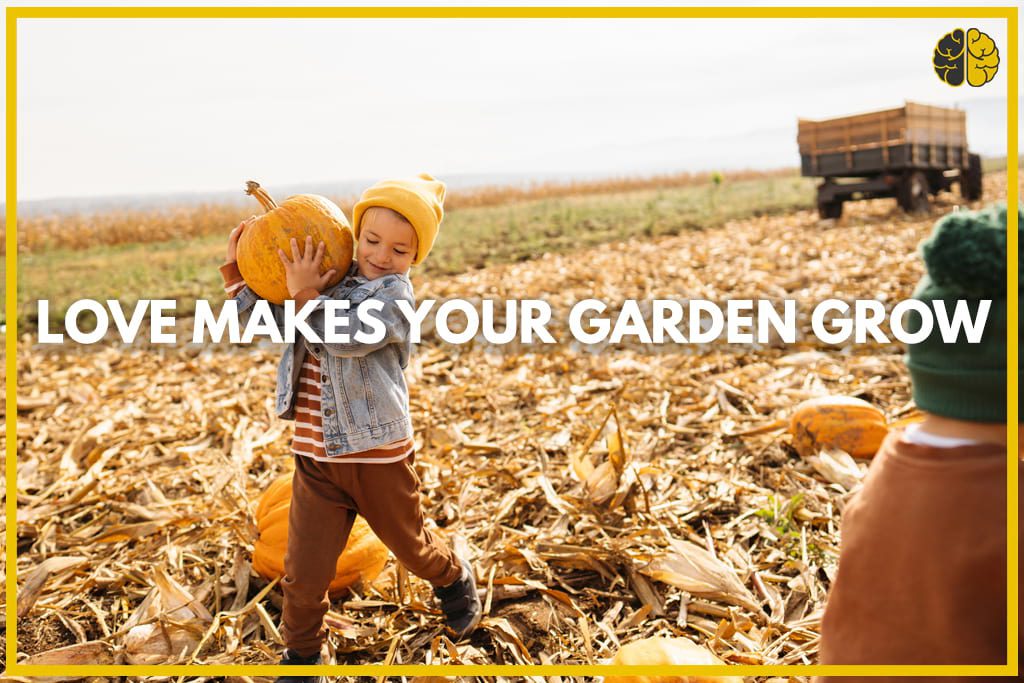Love makes your garden grow - a young boy harvesting a pumpkin from a field