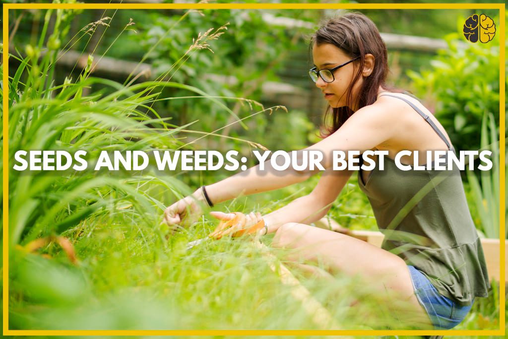 A woman weeding her garden - seeds and weeds: your best clients