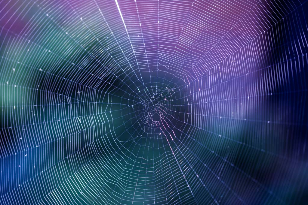 A close-up image of a spider's web on a blue background.
