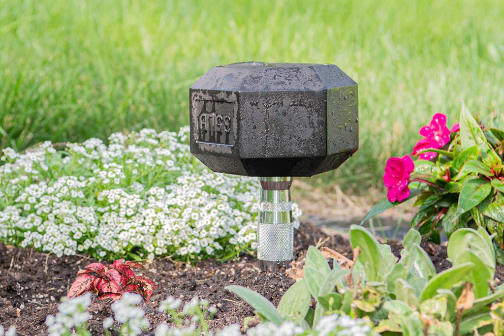 A dumbbell planted in a flower bed to illustrate starting a gym from scratch.