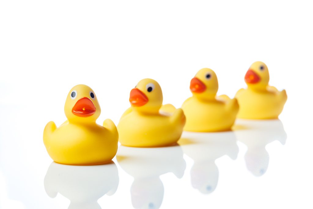 On a white background, a row of yellow rubber ducks, with one turned toward the viewer.