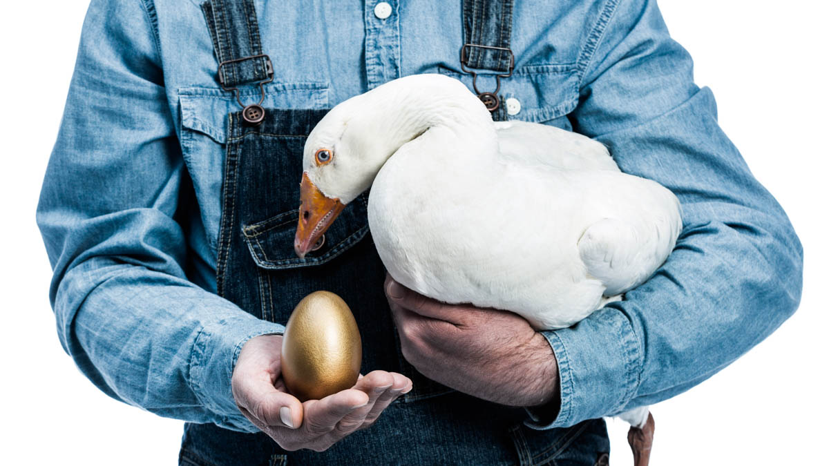 From Income to Investment: Why You Must Feed the Golden Goose - Two-Brain  Business