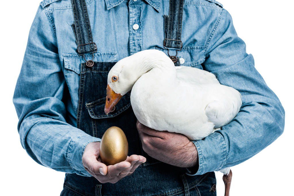 A man in a blue shirt and denim coveralls holds a goose and a golden egg.