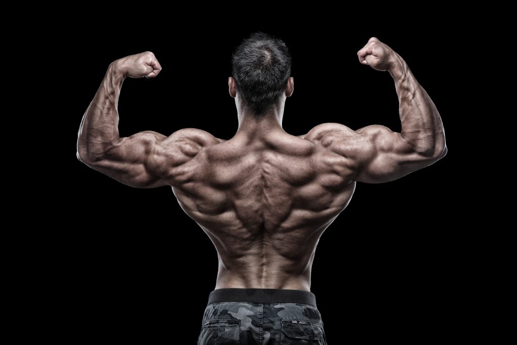 A shot from behind as a muscular bodybuilder performs a double biceps pose.