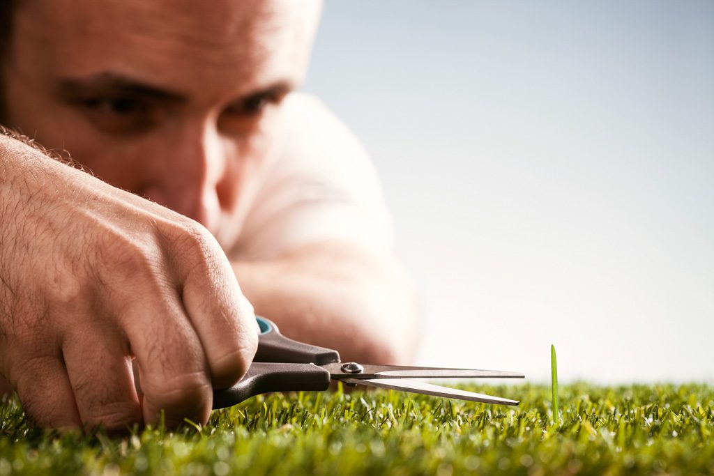 A close-up image of a person using scissors to cut a single out-of-place blade of grass.