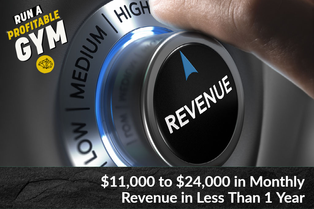 $11,000 to $24,000 in Monthly Revenue in Less Than 1 Year